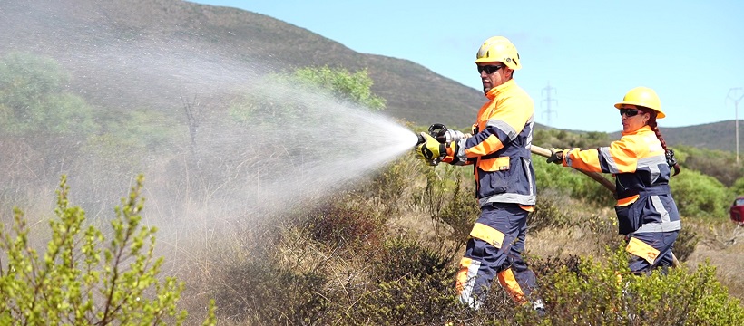 Brigadas de protección ambiental cierran temporada ambiental con positivo balance
