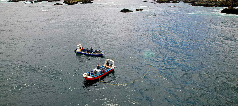 Minera Los Pelambres refuerza su trabajo con la pesca artesanal en Los Vilos